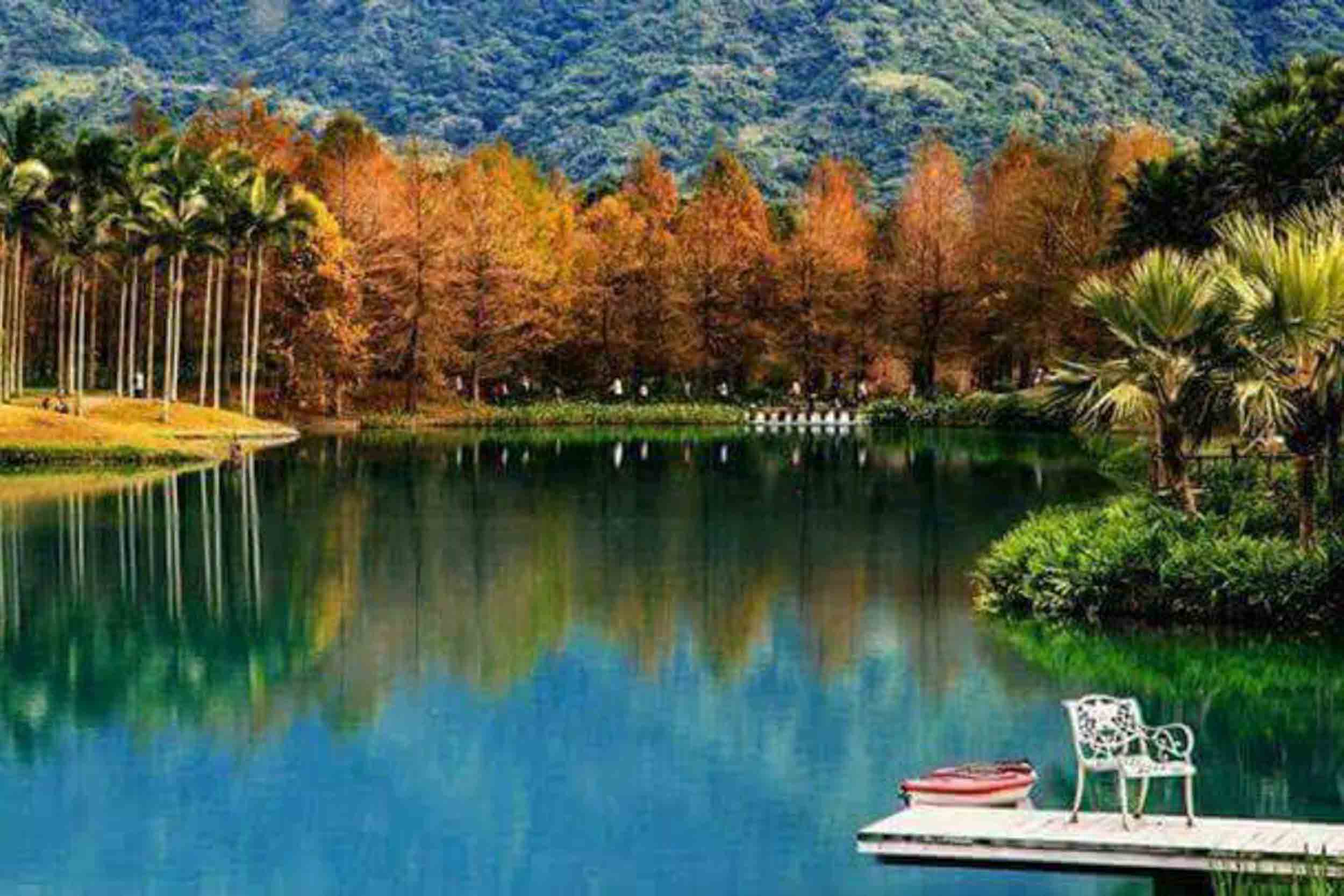 雲山水民宿的民宿照片